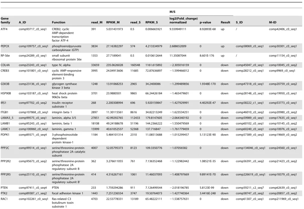 Table 4. The differential expression of genes regulated by M. bicoloratus bracovirus in the host PI3K/Akt signaling pathway.