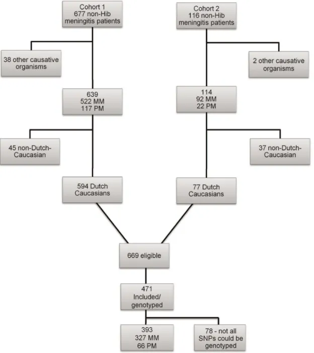 Figure 1 shows a flow chart of patient inclusion in this study. The cohort of school age children in part with post-meningitis hearing loss is composed of two independent cohorts