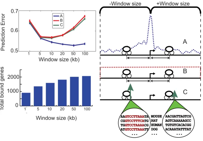 Figure 3. Regulatory region position predicts tissue-specific expression. We compared three models relating regulator binding to relative transcription levels in liver and 3T3-L1 cells