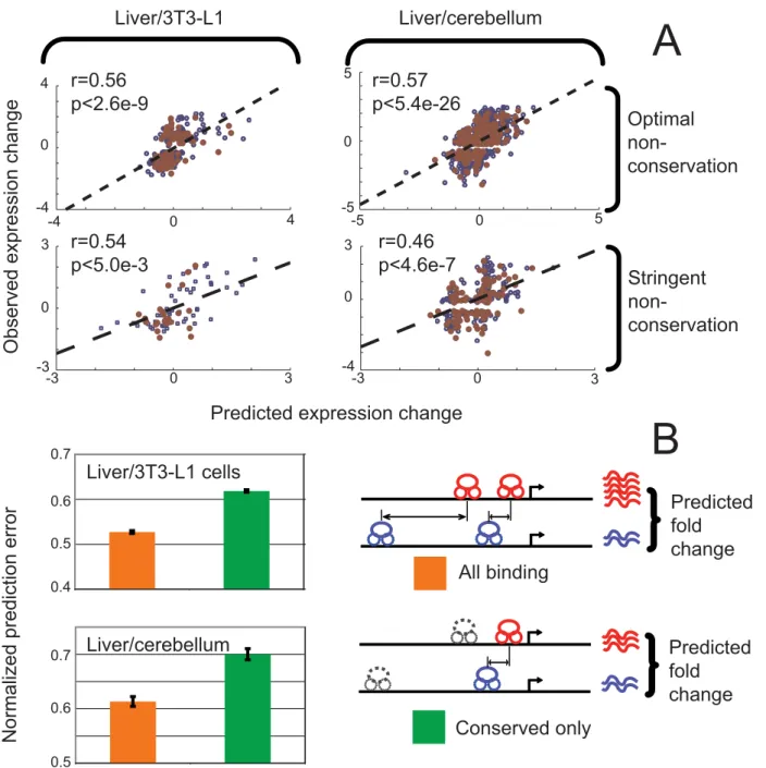 Figure 4. Non-conserved binding events predict expression. (A) Scatter plots of observed and predicted expression difference are presented for differentially expressed genes bound only at non-conserved regions at stringent and moderate conservation thresho