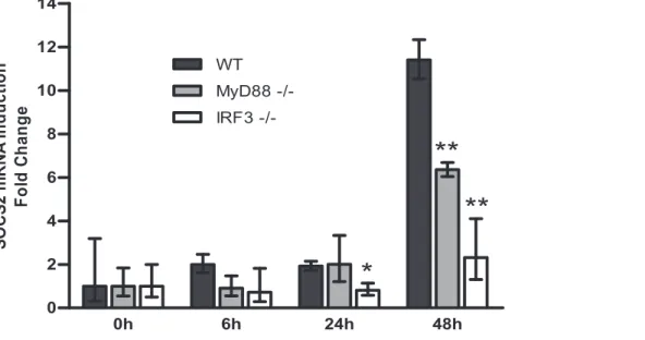 Figure 4. STAT3 and STAT5, but not STAT6 are required for SOCS2 mRNA induction in human moDCs