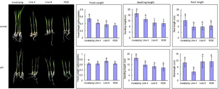 Figure 4. Graphical representation of the genotype of chromosomes located QTLs for lines 4 and 8.