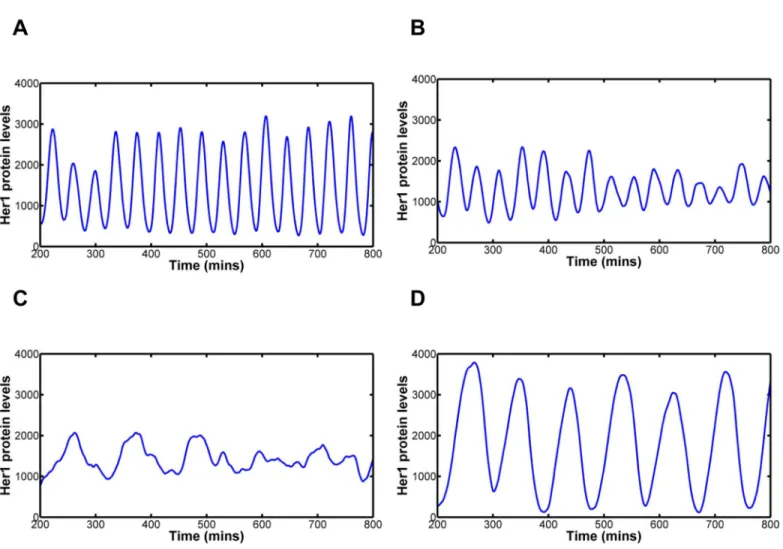 Fig 6. Modelling Notch signalling’s ability to combat increasing levels of stochasticity