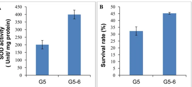 Fig 5. A gacA mutation enhanced superoxide dismutase activity and tolerance to oxidative stress