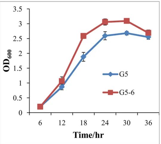 Fig 1. A gacA mutation stimulated bacterial growth. Bacterial growth of the wild type G5 and the gacA mutant G5-6 was monitored by measuring OD 600 