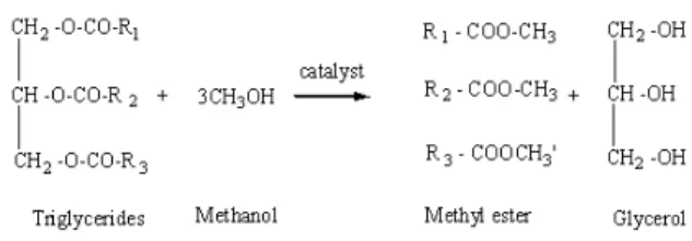 Fig. 1:  The transesterification of triglyceride with methanol 