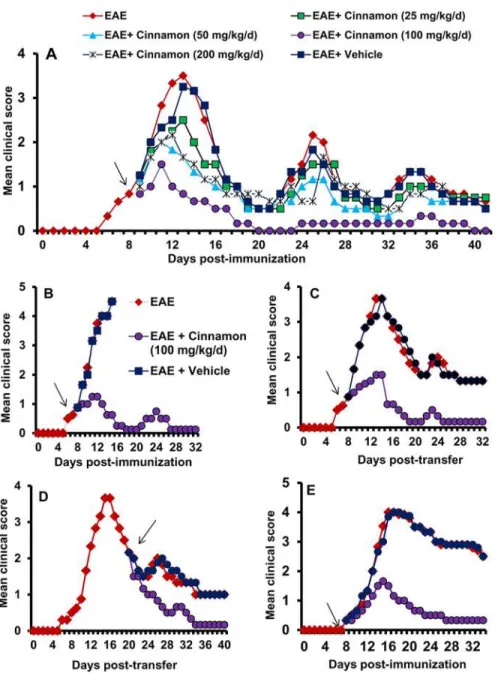 Figure 1. Oral administration of ground cinnamon suppresses clinical symptoms of EAE in female PLP-TCR transgenic (Tg) mice, adoptive transfer model in female SJL/J mice and chronic model in male C57/BL6 mice