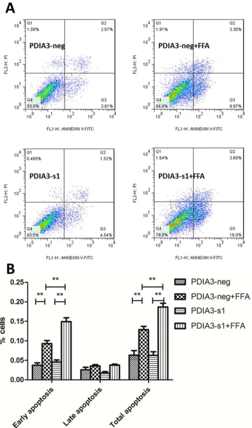 Fig 4. PDIA3 siRNA aggravates cellular apoptosis of steatotic L02 cells. (A) Flow cytometry scatter plot after Annexin V-FITC/PI staining: left lower quadrant: normal cells; right lower quadrant: early apoptosis cells (FITC Annexin V positive and PI negati