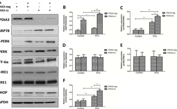 Fig 6. The expression level of ERS and apoptosis related proteins. (A) Western blot analysis of GRP78, PERK, p-PERK, ATF-6 α , IRE1, p-IRE1 and CHOP proteins expression