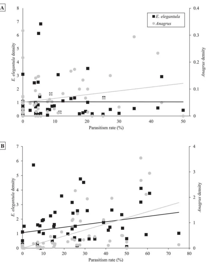 Fig 6. Higher ratios of Anagrus to E. elegantula led to increased parasitism of both first generation (6a) and second generation (6b) E