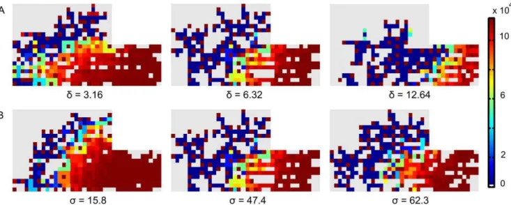 Figure 5. Image of the amount of VEGFR-2 per EC for different Dll4 expression and Notch activity levels at post fracture day 19