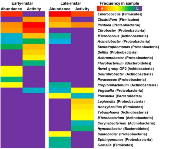 Figure 6. Frequency of 16S rRNA sequences in the microbiota obtained from the native-glucose control (bacterial relative abundance) and [ 13 C]-glucose treatment (bacterial metabolic activity), represented as a heatmap