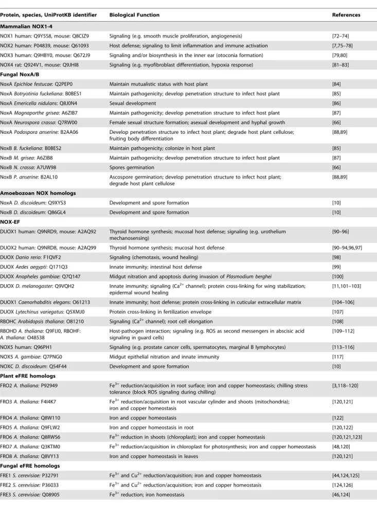 Table 1. Biological functions of eukaryotic FRD superfamily members from published experiments.