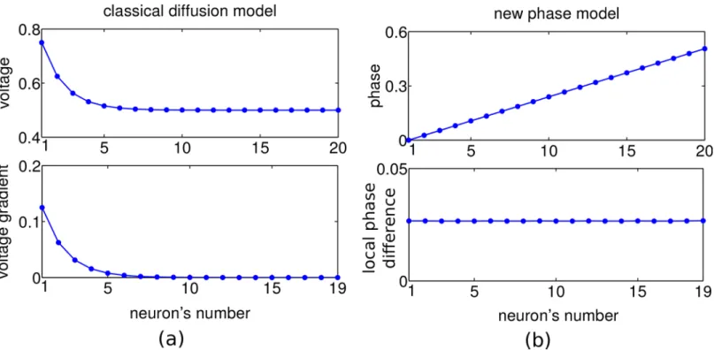 Fig 1. A comparison of the classical diffusion model and our scale-free traveling wave model in 1 dimension