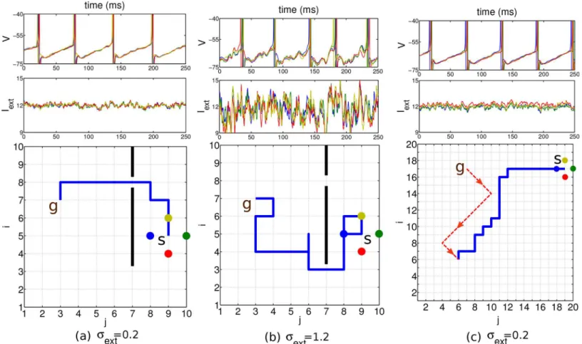 Fig 7. Finding shortcut and adaptive planning. (a, b) Turning up the noise level in the external input (indicated below each column) may be a way to prevent the detection of a shortest path