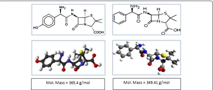 Figure 1 Chemical structures and molecular weights of amoxicillin and ampicillin.