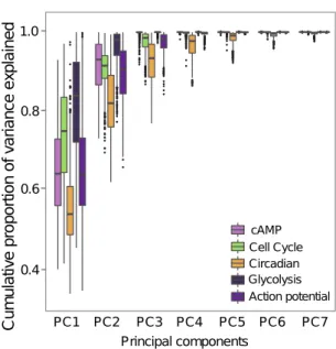 Figure 3. The empirical cumulative distribution function of V A / V G ratios for phenotypes of the cAMP (A) and the glycolysis (B) models