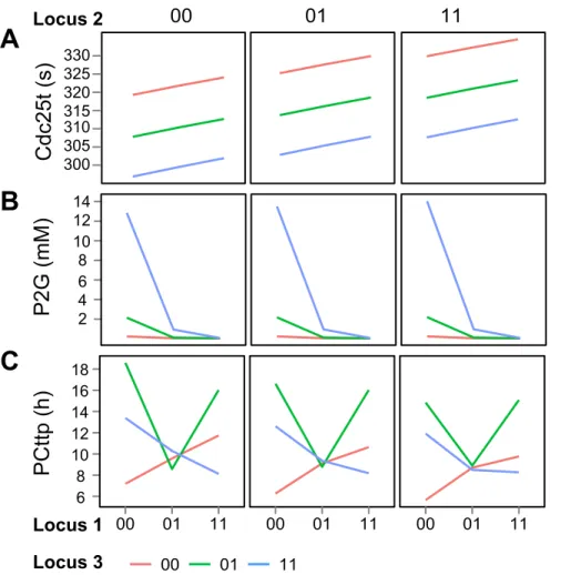 Figure 5. Three distinct types of genotype-phenotype maps. Examples of three distinct types of genotype-phenotype maps seen in our simulations