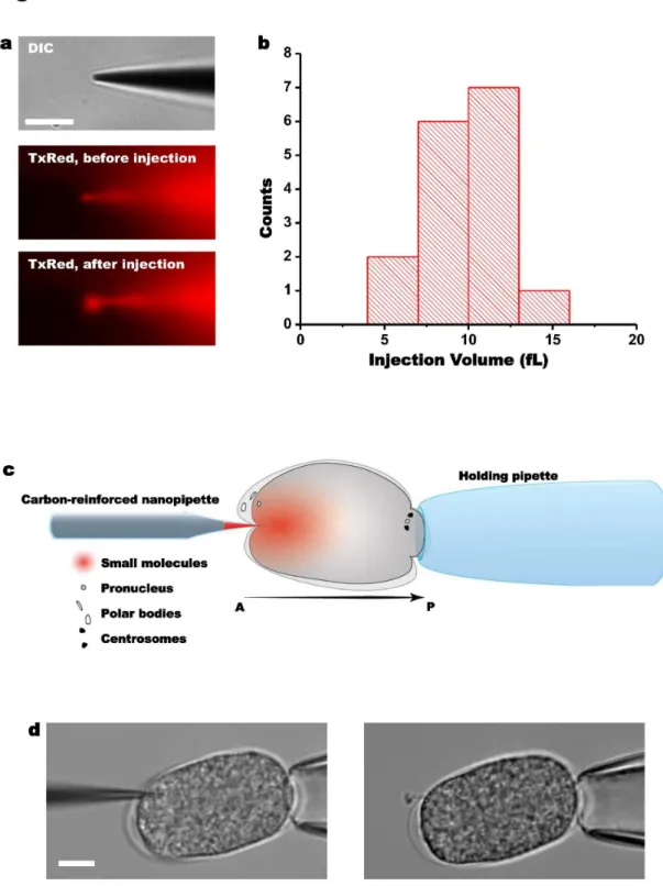 Figure  2.    CRNP  injection  characterization  and  experimental  configuration.    (a)  Characterization  of  injection  volume