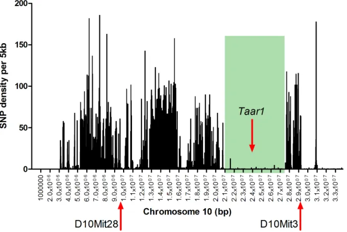 Fig 1. B6 vs D2 SNP density on proximal chromosome 10 (from 5 kb – 33.8 Mb). SNPs between B6 and D2 were counted in 5kb bins