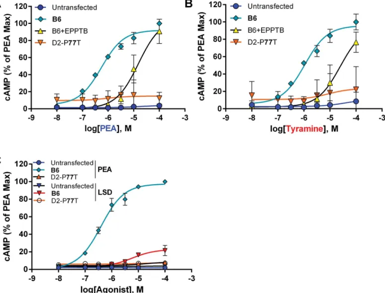 Table 1 indicates that some of those RIs possess the D2 SNP, which was not seen in the earlier derived RIs, confirming that the mutation is of recent origin.