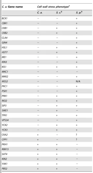 Table 1. Comparison of C. albicans, S. cerevisiae, and S. pombe mutant PK and PK-related cell wall stress sensitivity