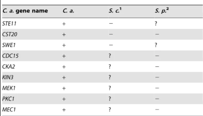 Table 2. Cont.