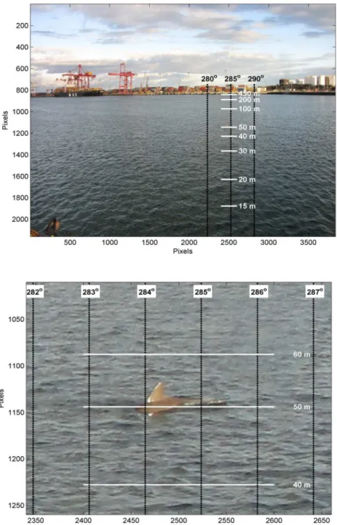 Fig 3. An example image taken with the still camera. Ranges and bearings from the camera (top); zoomed in image to show target (below).