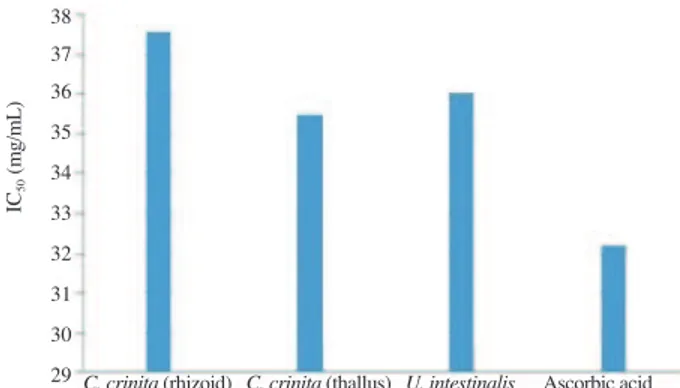 Figure 2. IC 50  values of methanolic extracts of seaweed and ascorbic acid.