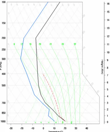 Fig. 1. Initial conditions for the thermodynamic profile of the atmosphere.