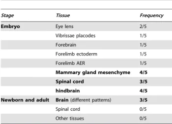 Table 1. Frequency of occurrence of expression patterns for the fiZ transgene.