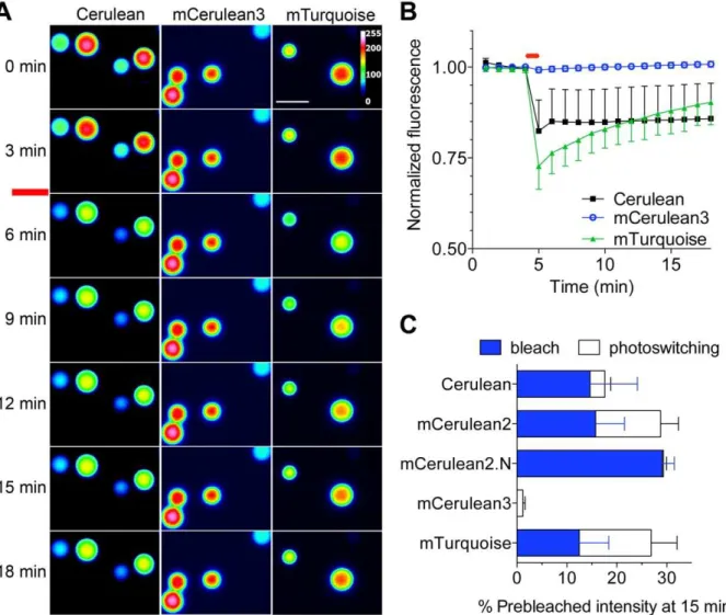 Figure 3. Photostability of recombinant CFPs. Agarose beads labeled with CFPs as indicated were imaged at 60 s intervals under low power illumination (45 mW/cm 2 )