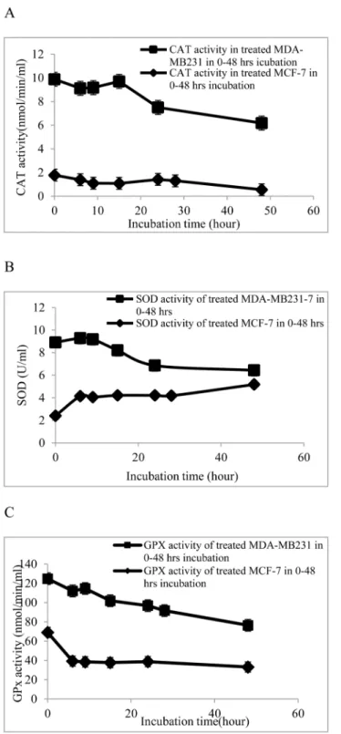 Fig 2. Activities of antioxidant enzymes in MDA-MB-23 and MCF-7 cells treated with 100 μg/ml of CE.