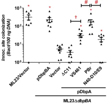 Figure 2. DbpA variants promote distinct B. burgdorferi inoculation site colonization during early infection