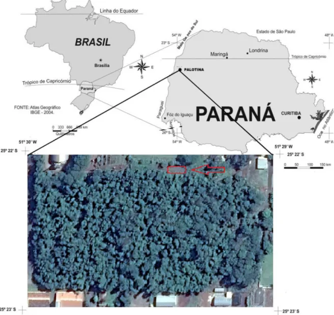 Figure  1.  Location  of  the  environmental  restoration  area  and  indication  of  the  experiment  site  in  the  UFPR/Palotina Sector