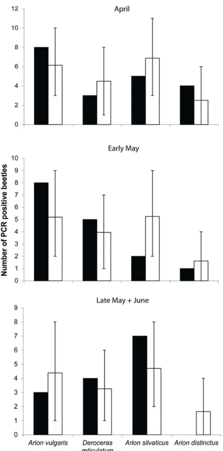 Figure 4.  Comparison of observed numbers of Carabus nemoralis testing positive for slugs (black bars) with the expected consumption  rates  (open  bars)  based  on  a  Monte  Carlo  model