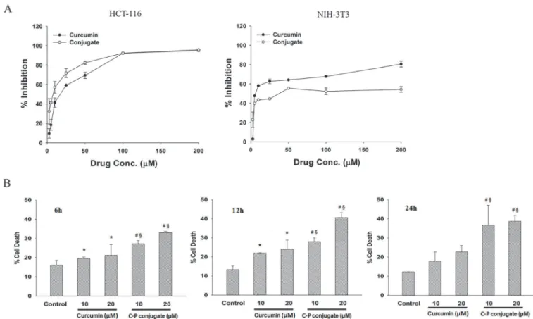 Fig 4. Effect of curcumin and curcumin-PLGA conjugate on cell proliferation. (A) Determination of IC 50 values of native curcumin and curcumin-PLGA conjugate in HCT 116 and NIH 3T3 cells