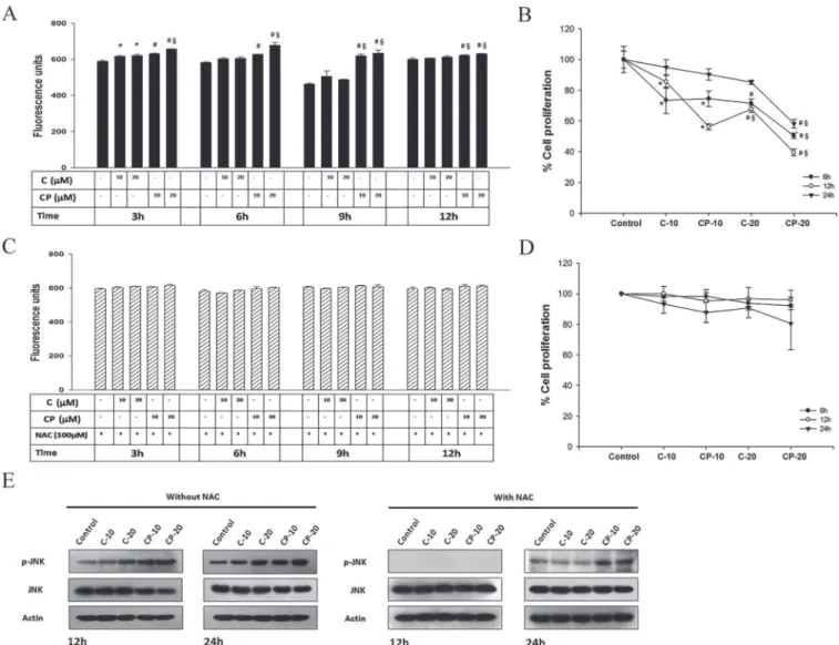 Fig 10. Effect of Curcumin and curcumin-PLGA conjugate on ROS generation and JNK activation