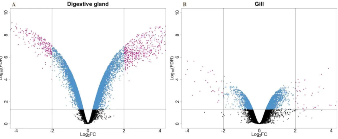 Figure 2 V-plots showing gene expression differences detected through microarray analysis in diges- diges-tive gland (A) and gill (B) tissues