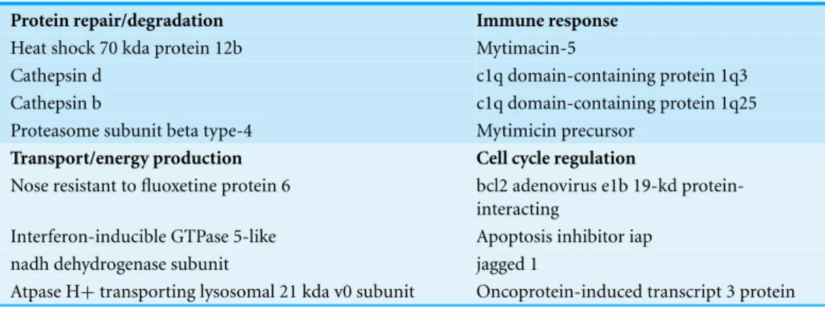 Table 2 Selected subsets of differentially expressed transcripts identified by microarray analysis representative of the following functional categories: (a) protein repair or degradation, (b) immune response, (c) transport and energy production and (d) ce
