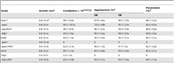 Table 1. Phenotypic analysis of LIM protein mutants in M. oryzae.