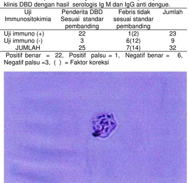 Gambar 2. Hasil Negatif Deteksi virus DEN di dalam monosit  dengan   pemeriksaan immunositokimia dengan streptavidin  Biotin  (pembesaran 3000) 