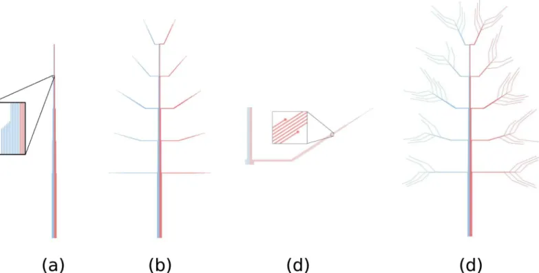 Fig 3. Trees are made up of lines. (a) Trunk: first segment of the lines. (b) Main branches: second and third segments of the lines
