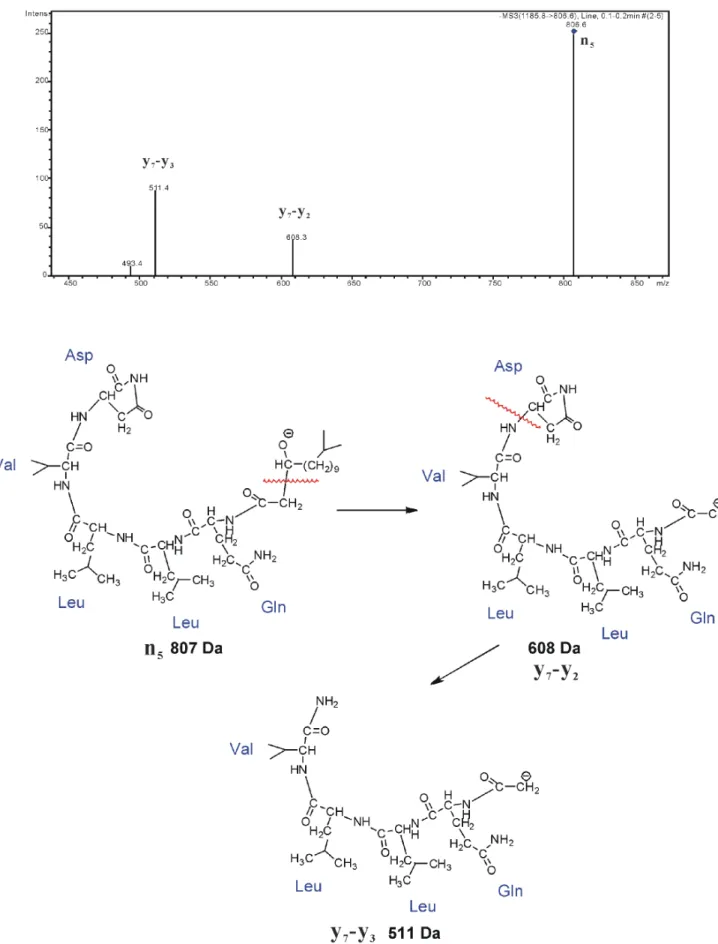 Figure 6. The MS 3 analysis and fragmentation mechanisms of n 5 (m/z 807).