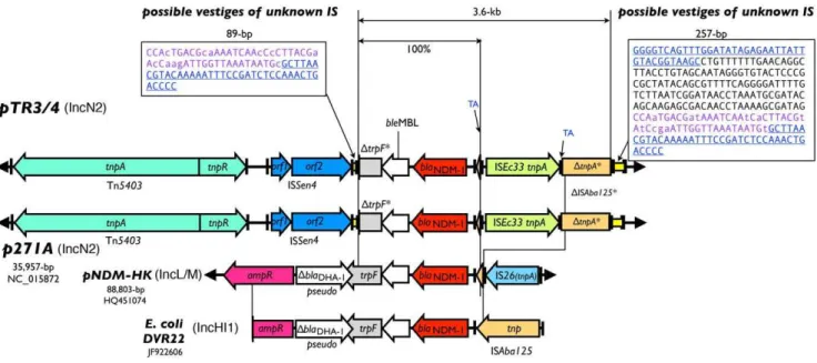Figure 2. Schematic diagram of the NDM-1 region of pTR3 and pTR4, compared to those from the other known plasmids
