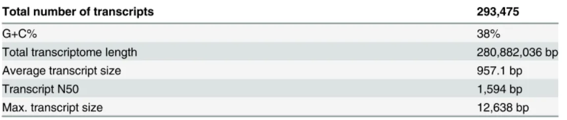 Table 2. Statistics of non-redundant set of Allium cepa bulb transcripts obtained from final stage of assembly.