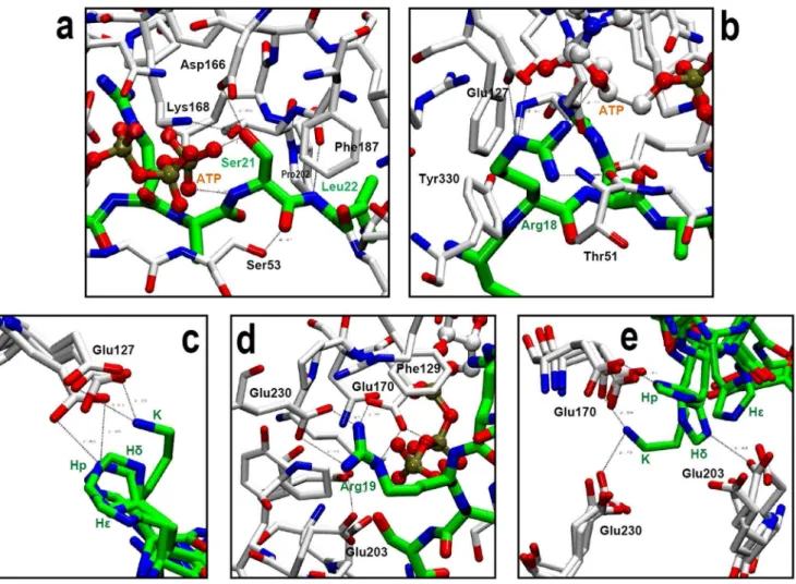 Figure 6. Relationship between experimental DD G ERTS and calculated DD G ERES values using MM-GBSA