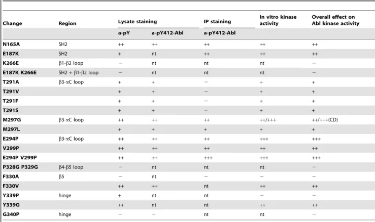 Table 1. List of c-Abl point mutants investigated in this study with summary of the effect of mutations.