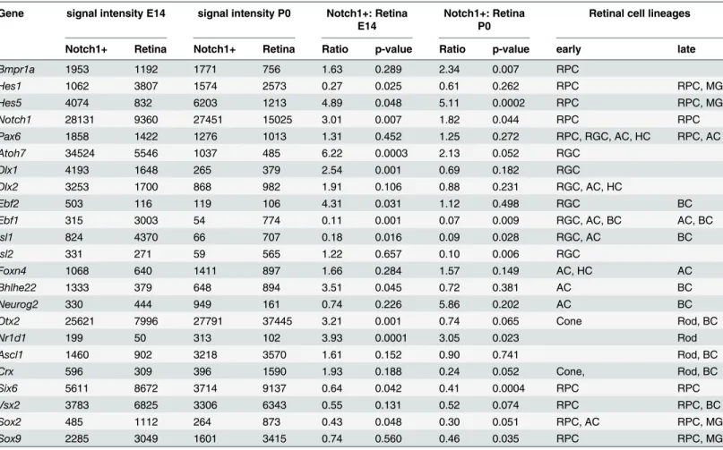 Table 2. The expression of retinal cell markers in Notch1 + progenitor cells and in whole retina samples at E14 and P0.