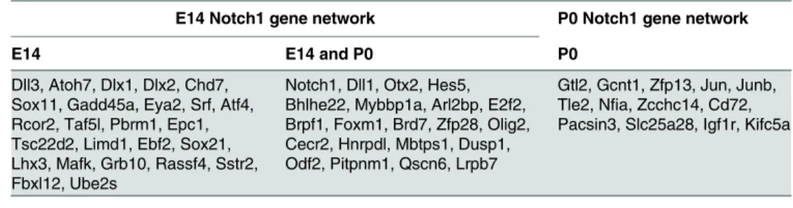 Table 3. The putative members of E14 Notch1 and P0 Notch1 gene networks.